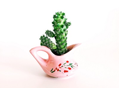 vase cactus idees