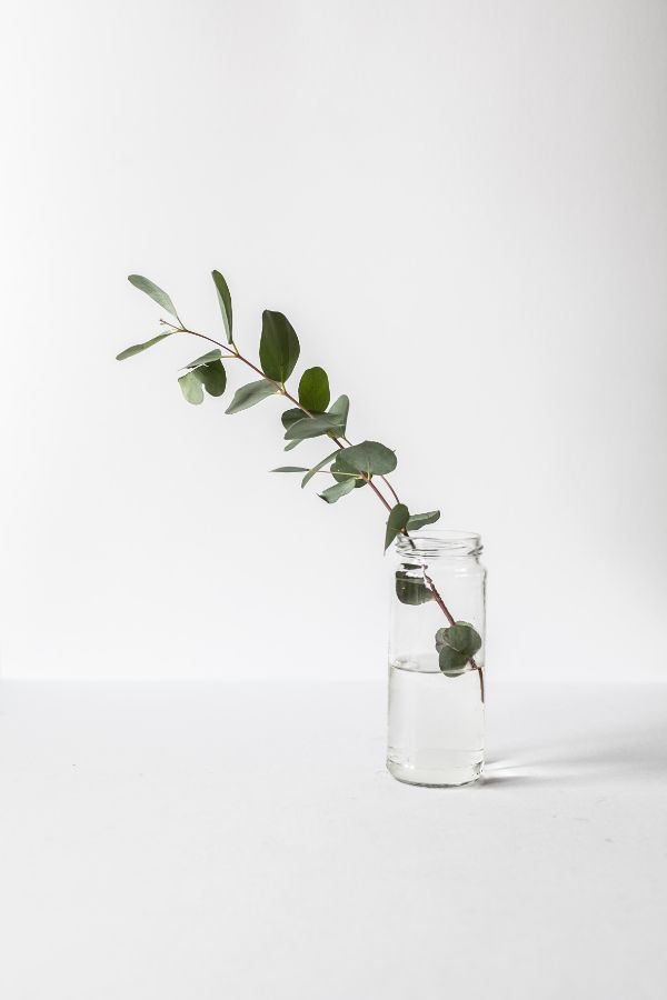 Comment bien choisir un grand vase en verre
