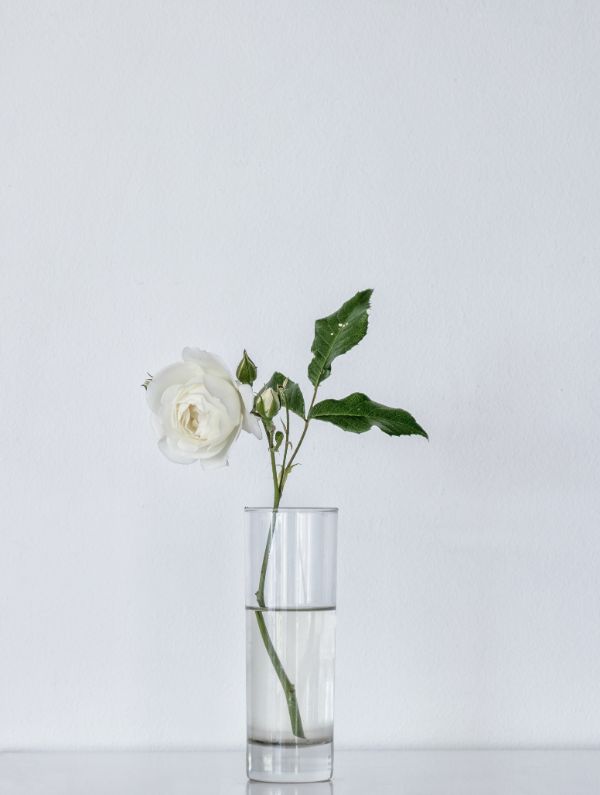 grand vase en verre transparent decoration